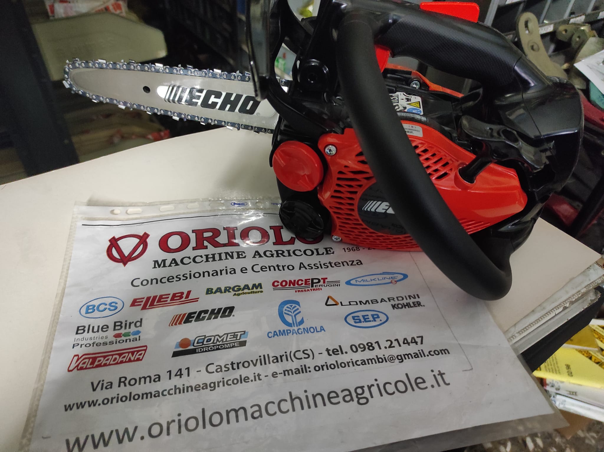 MOTOSEGA DA POTA ECHO 2,2 Kg