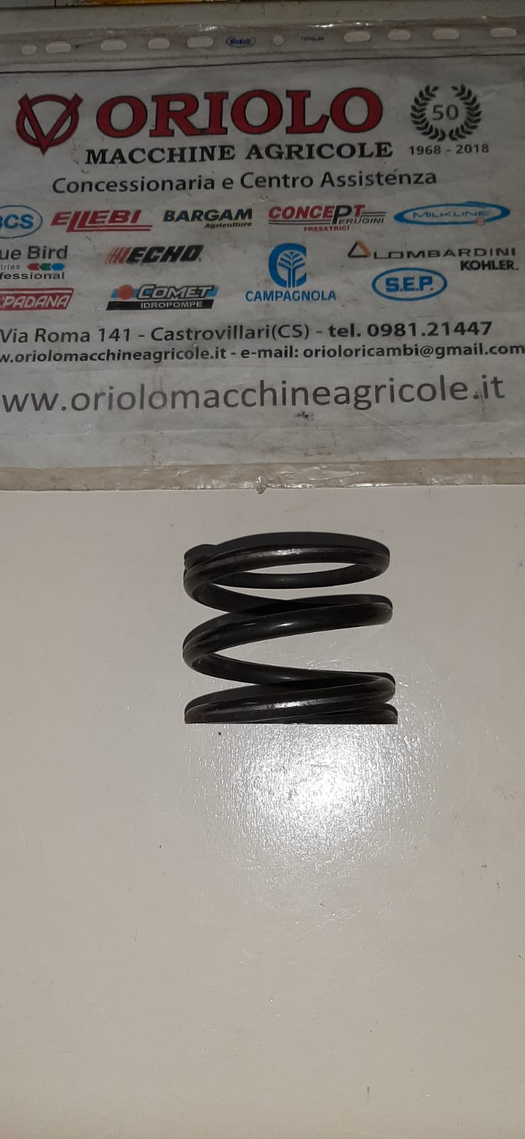 MOLLA FRIZIONE DIAM. 73 X H=57 MM