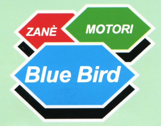 BLUE BIRD A 360 GRADI DECESPUGLIATORI E RASAERBA