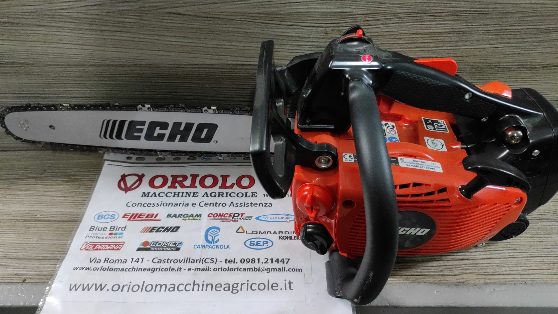 MOTOSEGA DA POTA ECHO 3,6 Kg