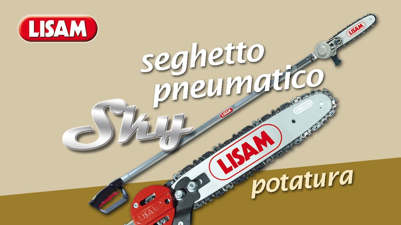 POTATORE PNEUMATICO SU ASTA DA 2 METRI