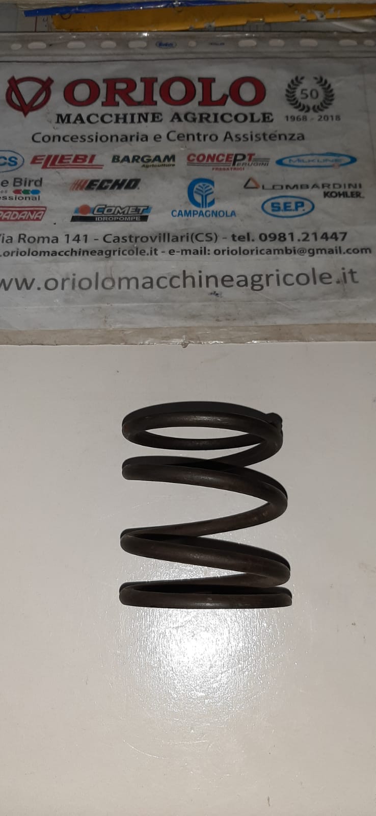 MOLLA FRIZIONE DIAM. 74 X H=77 MM