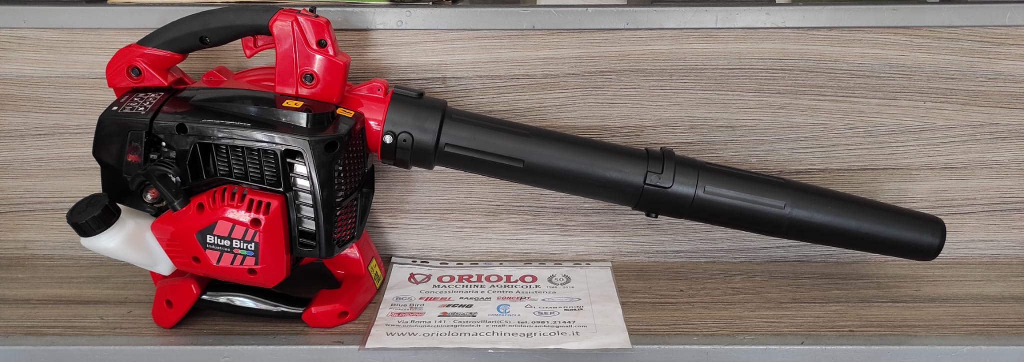 SOFFIATORE / ASPIRATORE BLUEBIRD EBV 280 A